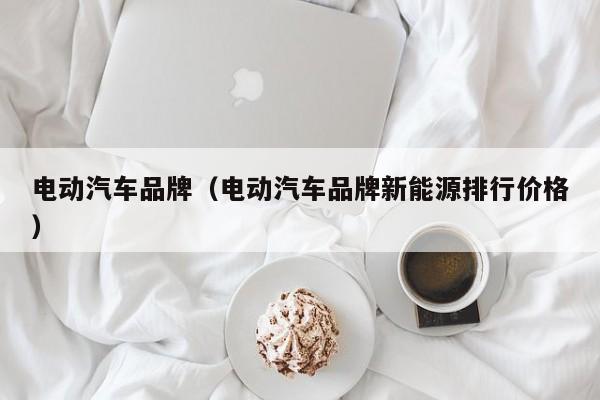 4480yy在线A片无码 电动汽车品牌（电动汽车品牌新能源排行价格）  第1张
