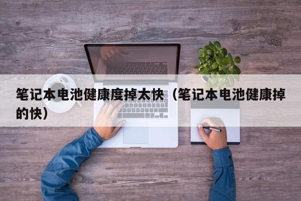 4500网约外围模特女神 笔记本电池健康度掉太快（笔记本电池健康掉的快）  第1张