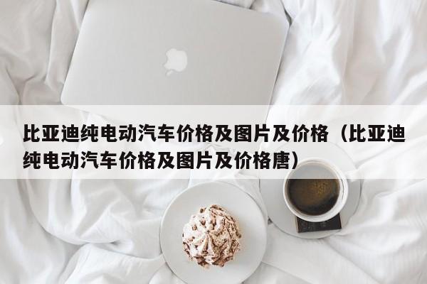 比亚迪纯电动汽车价格及图片及价格（比亚迪纯电动汽车价格及图片及价格唐）  第1张