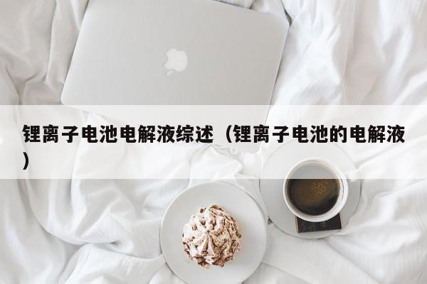 4480午夜理论免费无码 锂离子电池电解液综述（锂离子电池的电解液）  第1张