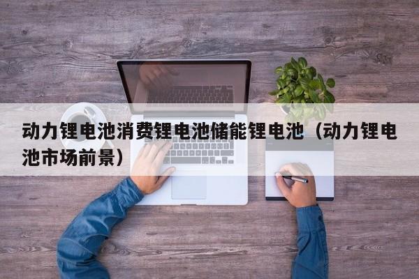 4480yy在线A片无码 动力锂电池消费锂电池储能锂电池（动力锂电池市场前景）  第1张