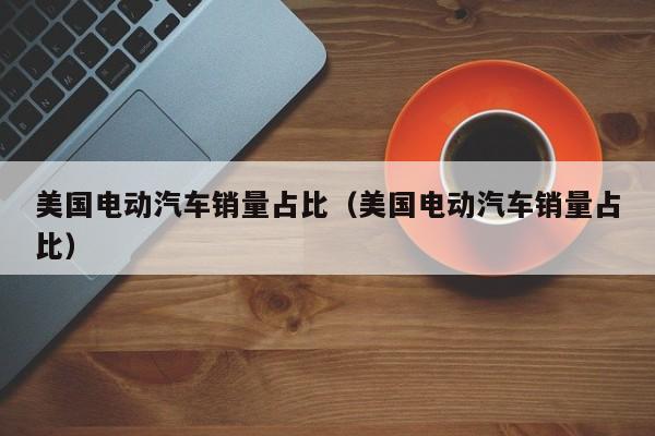 4500网约外围模特女神 美国电动汽车销量占比（美国电动汽车销量占比）  第1张