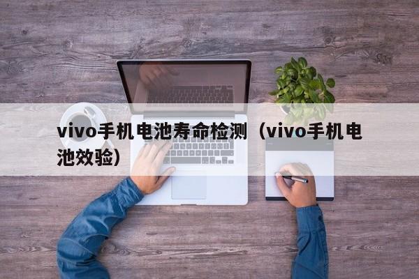 4500网约外围模特女神 vivo手机电池寿命检测（vivo手机电池效验）  第1张