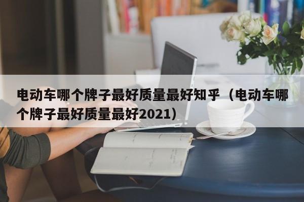 电动车哪个牌子最好质量最好知乎（电动车哪个牌子最好质量最好2021）  第1张
