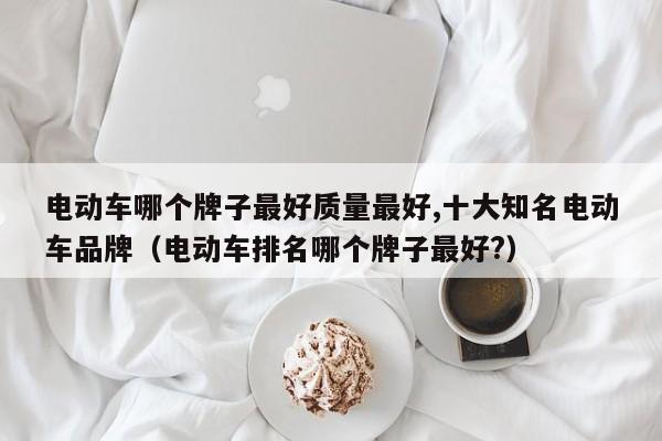 电动车哪个牌子最好质量最好,十大知名电动车品牌（电动车排名哪个牌子最好?）  第1张