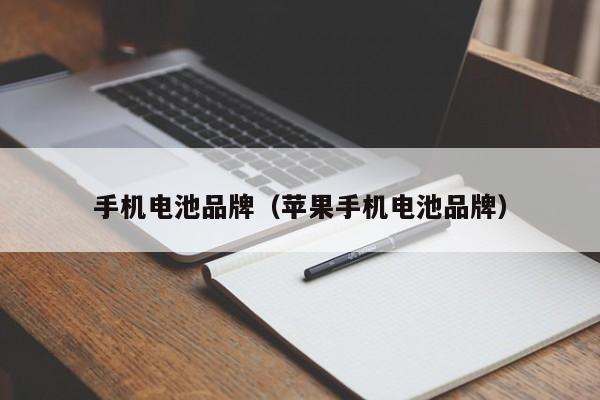 4500网约外围模特女神 手机电池品牌（苹果手机电池品牌）  第1张