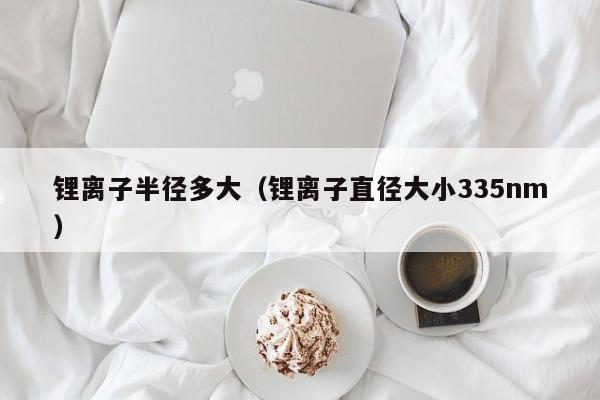 4500网约外围模特女神 锂离子半径多大（锂离子直径大小335nm）  第1张
