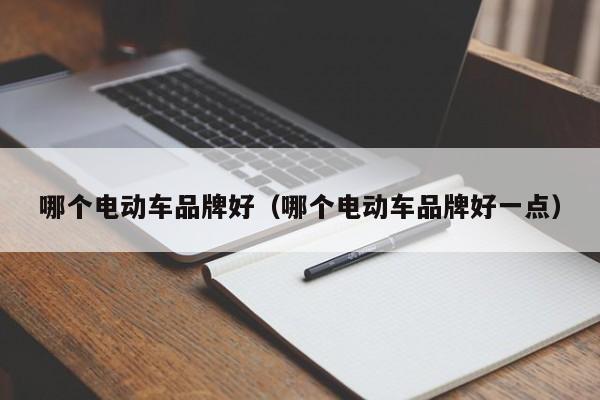 4500网约外围模特女神 哪个电动车品牌好（哪个电动车品牌好一点）  第1张
