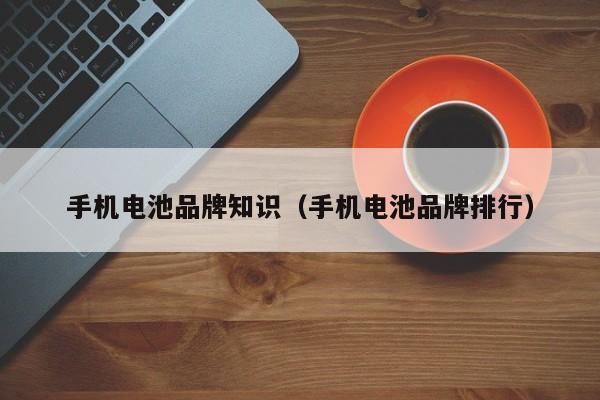 4480午夜理论免费无码 手机电池品牌知识（手机电池品牌排行）  第1张