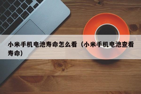 4480午夜理论免费无码 小米手机电池寿命怎么看（小米手机电池查看寿命）  第1张