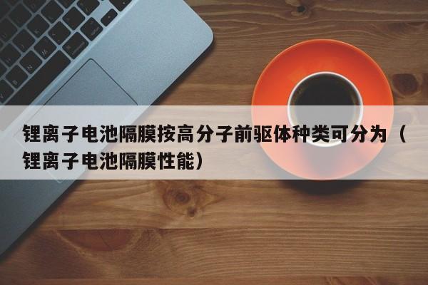 4480yy在线A片无码 锂离子电池隔膜按高分子前驱体种类可分为（锂离子电池隔膜性能）  第1张
