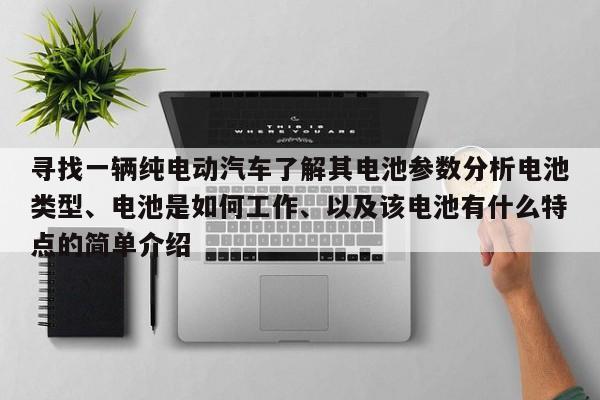 寻找一辆纯电动汽车了解其电池参数分析电池类型、电池是如何工作、以及该电池有什么特点的简单介绍  第1张