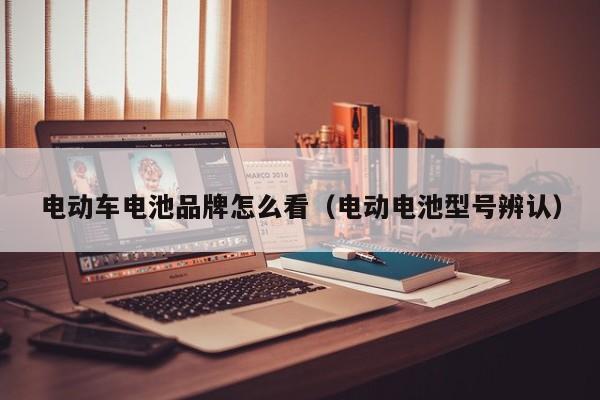 4480午夜理论免费无码 电动车电池品牌怎么看（电动电池型号辨认）  第1张