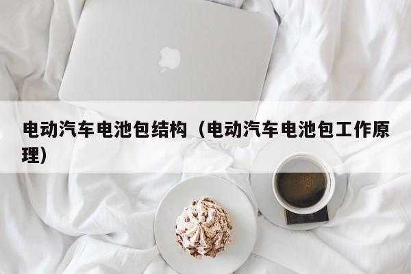 4480yy在线A片无码 电动汽车电池包结构（电动汽车电池包工作原理）  第1张