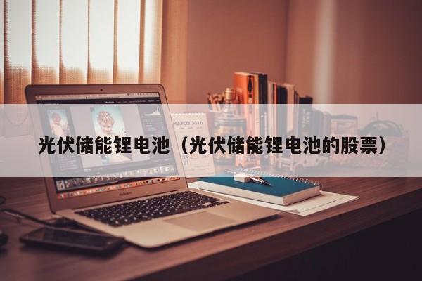 4500网约外围模特女神 光伏储能锂电池（光伏储能锂电池的股票）  第1张