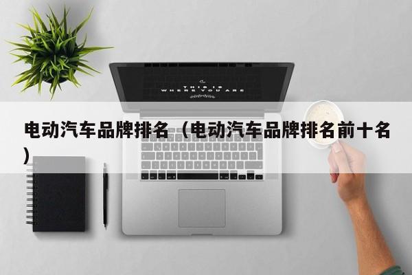 4480yy在线A片无码 电动汽车品牌排名（电动汽车品牌排名前十名）  第1张