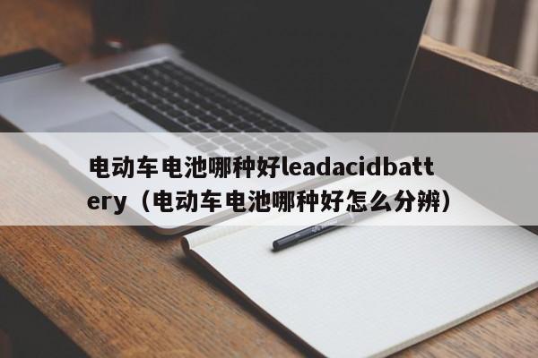 电动车电池哪种好leadacidbattery（电动车电池哪种好怎么分辨）  第1张