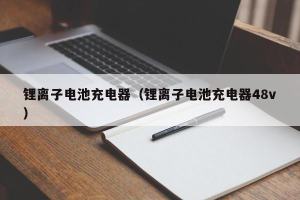4480午夜理论免费无码 锂离子电池充电器（锂离子电池充电器48v）  第1张