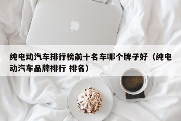 纯电动汽车排行榜前十名车哪个牌子好（纯电动汽车品牌排行 排名）  第1张
