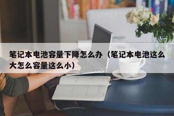 4500网约外围模特女神 笔记本电池容量下降怎么办（笔记本电池这么大怎么容量这么小）  第1张