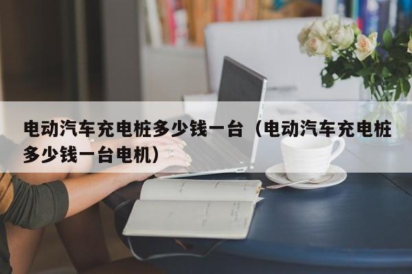 4500网约外围模特女神 电动汽车充电桩多少钱一台（电动汽车充电桩多少钱一台电机）  第1张