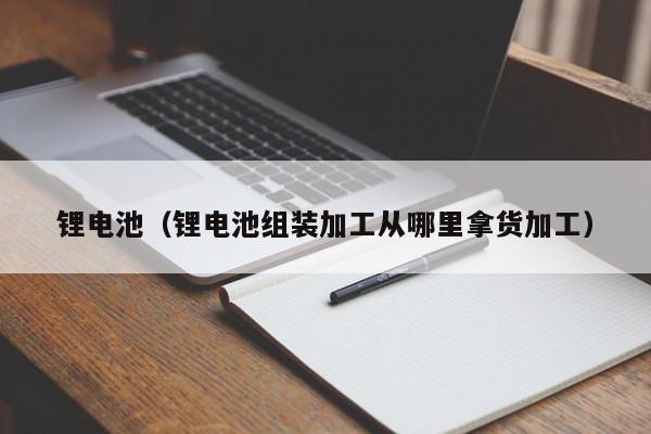 4480午夜理论免费无码 锂电池（锂电池组装加工从哪里拿货加工）  第1张