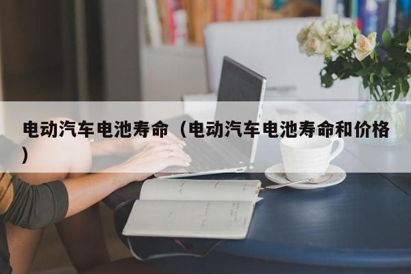 4480yy在线A片无码 电动汽车电池寿命（电动汽车电池寿命和价格）  第1张