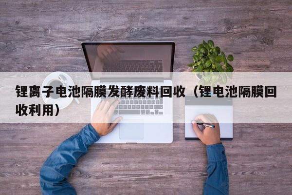 4480yy在线A片无码 锂离子电池隔膜发酵废料回收（锂电池隔膜回收利用）  第1张