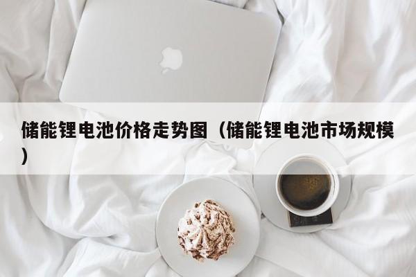 4480yy在线A片无码 储能锂电池价格走势图（储能锂电池市场规模）  第1张