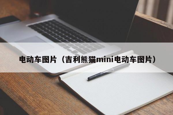 4480午夜理论免费无码 电动车图片（吉利熊猫mini电动车图片）  第1张