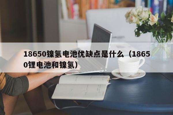 4500网约外围模特女神 18650镍氢电池优缺点是什么（18650锂电池和镍氢）  第1张