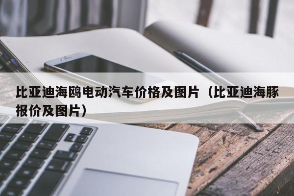 4480午夜理论免费无码 比亚迪海鸥电动汽车价格及图片（比亚迪海豚报价及图片）  第1张