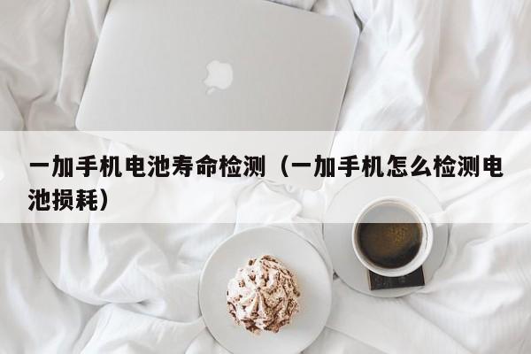 4500网约外围模特女神 一加手机电池寿命检测（一加手机怎么检测电池损耗）  第1张