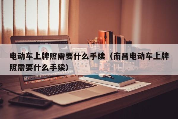 4480午夜理论免费无码 电动车上牌照需要什么手续（南昌电动车上牌照需要什么手续）  第1张