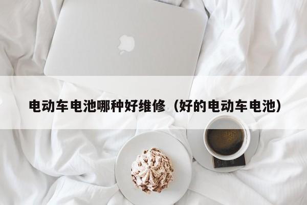 4500网约外围模特女神 电动车电池哪种好维修（好的电动车电池）  第1张