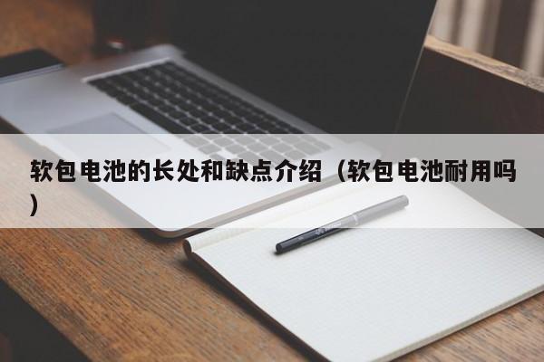 4480yy在线A片无码 软包电池的长处和缺点介绍（软包电池耐用吗）  第1张