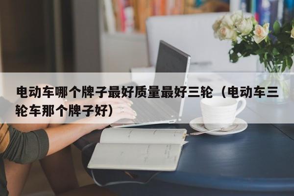 4480午夜理论免费无码 电动车哪个牌子最好质量最好三轮（电动车三轮车那个牌子好）  第1张