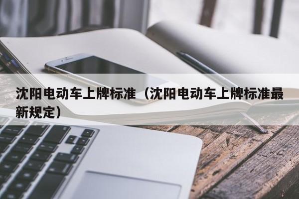 4500网约外围模特女神 沈阳电动车上牌标准（沈阳电动车上牌标准最新规定）  第1张