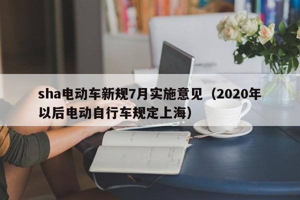 sha电动车新规7月实施意见（2020年以后电动自行车规定上海）  第1张