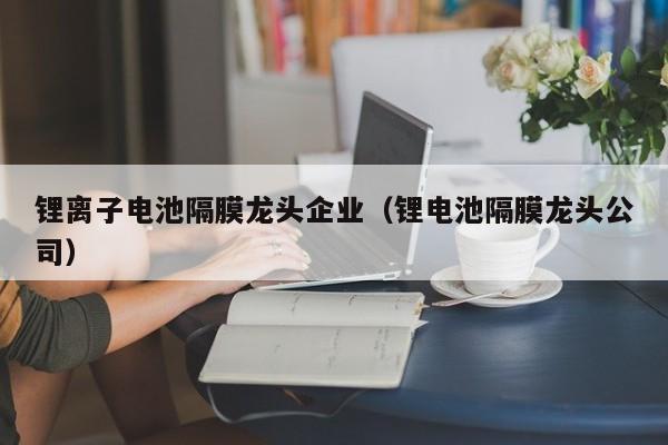 4480午夜理论免费无码 锂离子电池隔膜龙头企业（锂电池隔膜龙头公司）  第1张