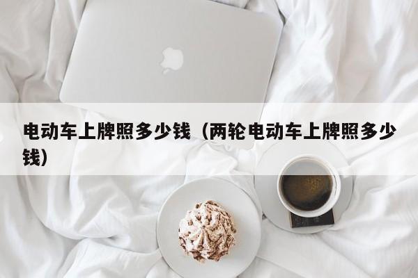 4480午夜理论免费无码 电动车上牌照多少钱（两轮电动车上牌照多少钱）  第1张
