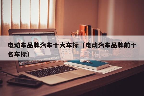 4480yy在线A片无码 电动车品牌汽车十大车标（电动汽车品牌前十名车标）  第1张