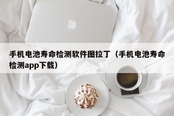 4500网约外围模特女神 手机电池寿命检测软件图拉丁（手机电池寿命检测app下载）  第1张
