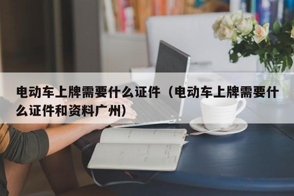 4500网约外围模特女神 电动车上牌需要什么证件（电动车上牌需要什么证件和资料广州）  第1张