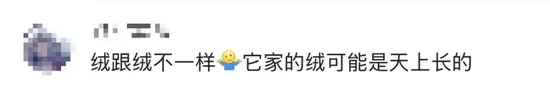 700多元的羽绒裤仅3克绒？波司登客服回应：绒跟绒不一样，同款已售完！3克绒该怎么分？业内人士解答→  第8张