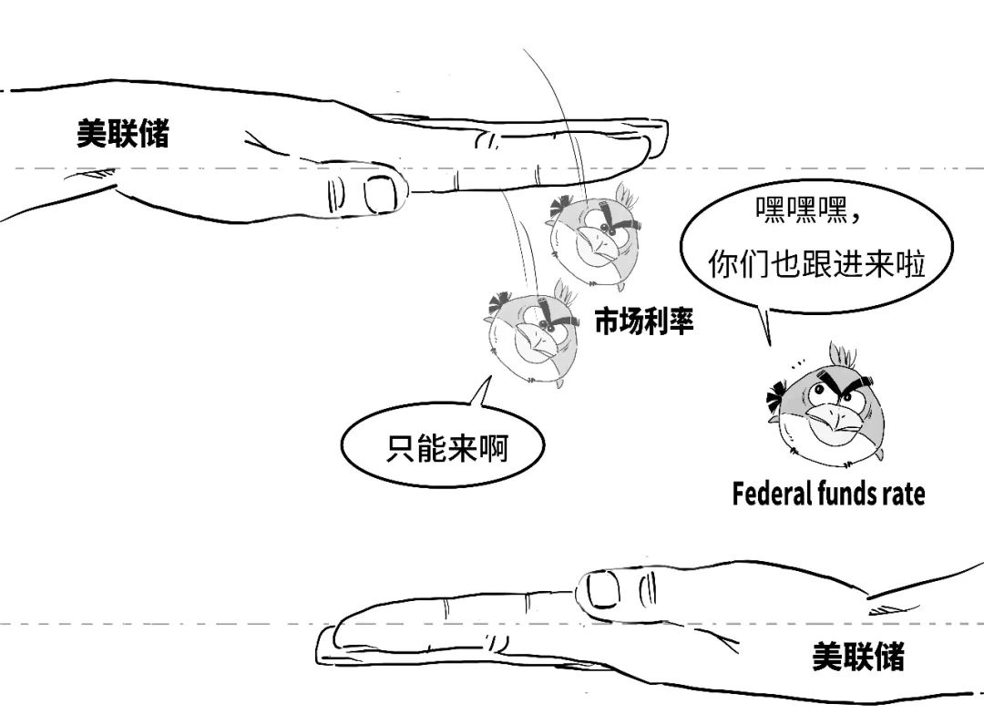 4480午夜理论免费无码 鹰派降息？3分钟搞懂美联储咋降的息！  第18张
