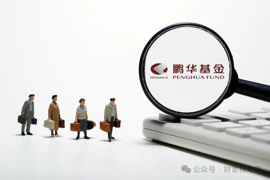 鹏扬基金“重债轻股”模式难改，朱国庆管理规模不足10亿元难成“一哥”  第1张