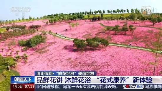 4480yy在线A片无码 暴涨220%！这一市场，绽放！  第5张
