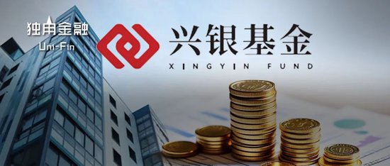 4500网约外围模特女神 从“千亿神话”到缩水190亿，金融“女将”辞任兴银基金董事长  第1张