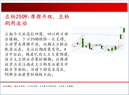 4480yy在线A片无码 中天期货:玻璃低位震荡 棕榈继续下行  第10张